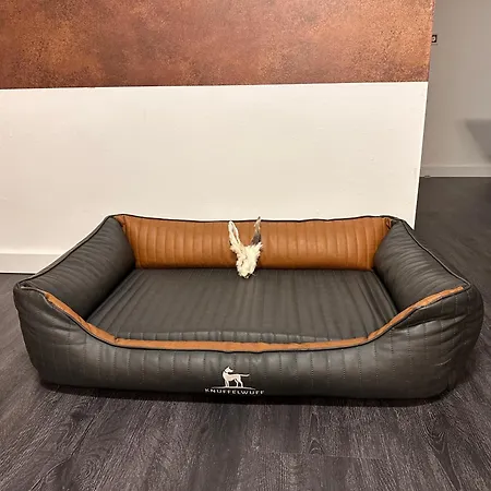 Urlaub Mit Hund -ferienwohnung 